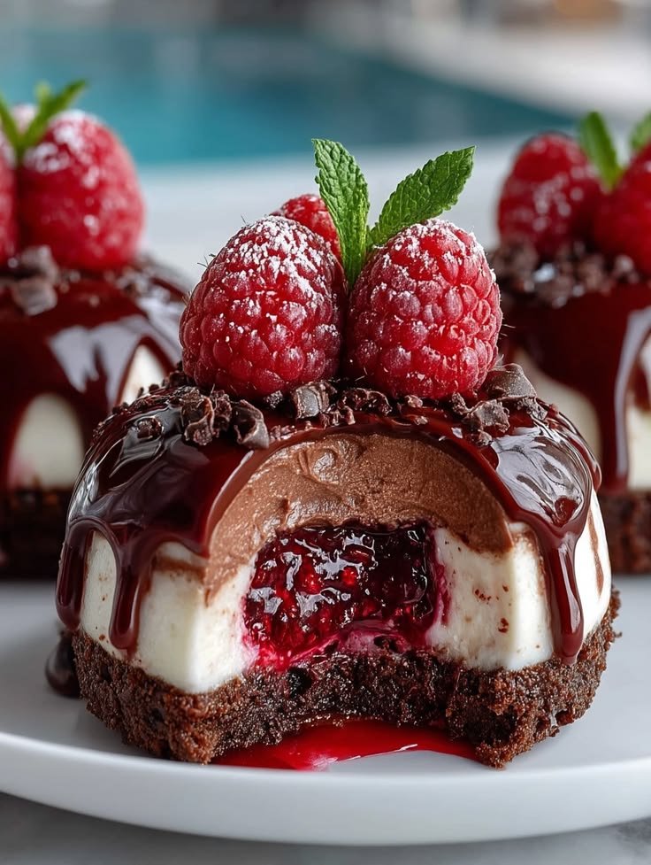 Chocolate Raspberry Cheesecake Domes